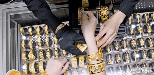 如果发生金融危机，怎么才能减少损失，是投货币基金，还是黄金 - 真时天下