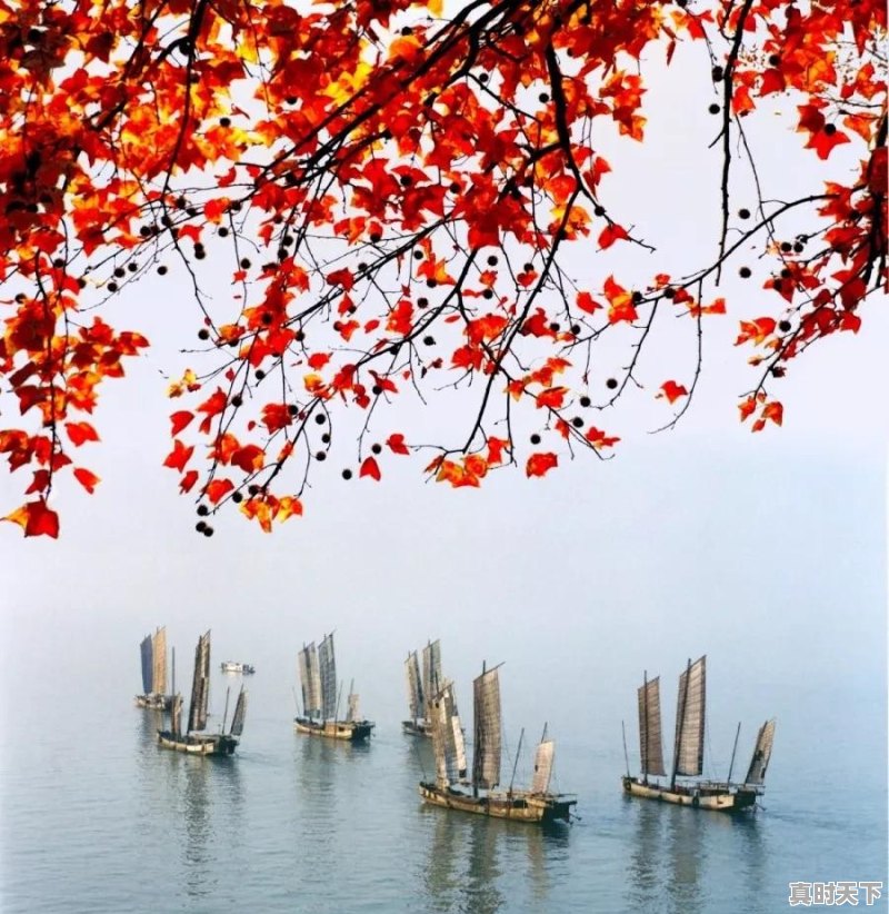 揭阳雨季什么时候 - 真时天下