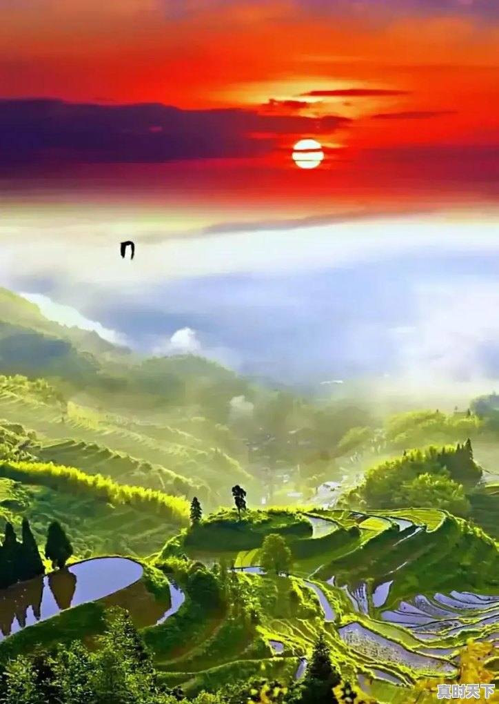 邪恶游戏单机猜拳 - 真时天下