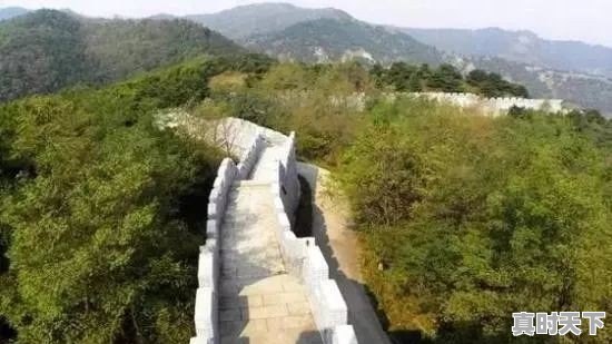 济南有哪些适合家庭出游又不收费的山 - 真时天下