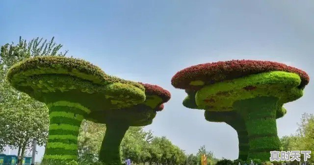 有没有河北老乡，说出你的老家 - 真时天下