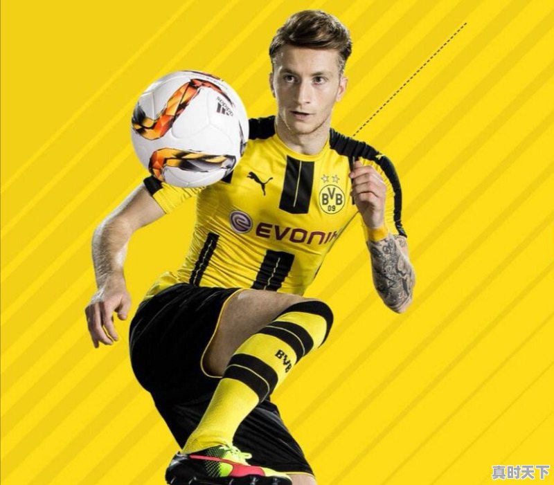 电脑版单机球类游戏推荐 - 真时天下