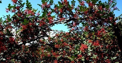 天水万达今日钢筋价格查询 - 真时天下