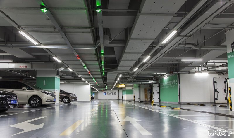 今日重庆花生米价格行情 - 真时天下