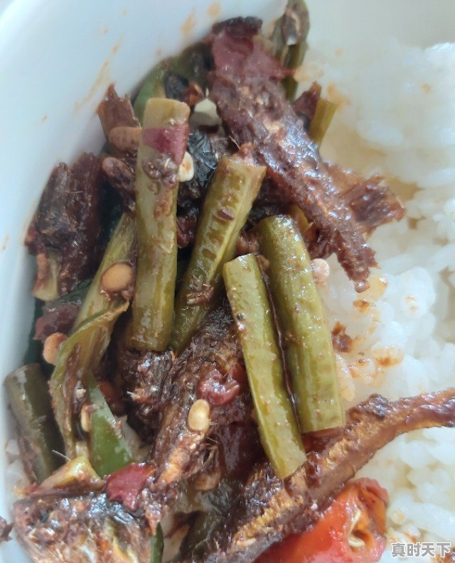 猪肉价格真的影响老百姓的生活,猪肉价格何时降到十几块钱一斤 - 真时天下