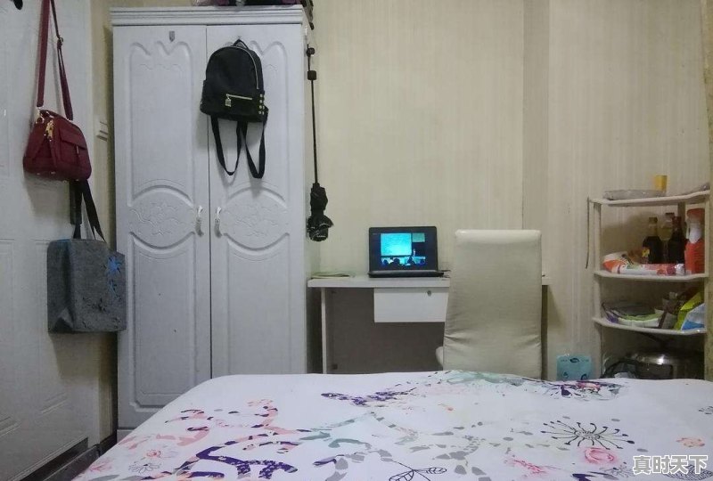 哄睡综艺节目完整版免费观看 - 真时天下