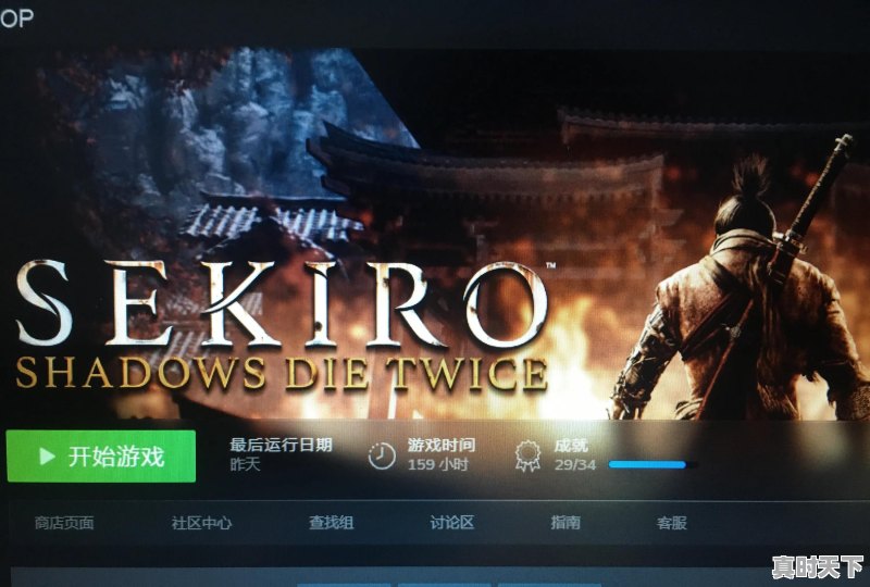 只狼单机版 - 真时天下