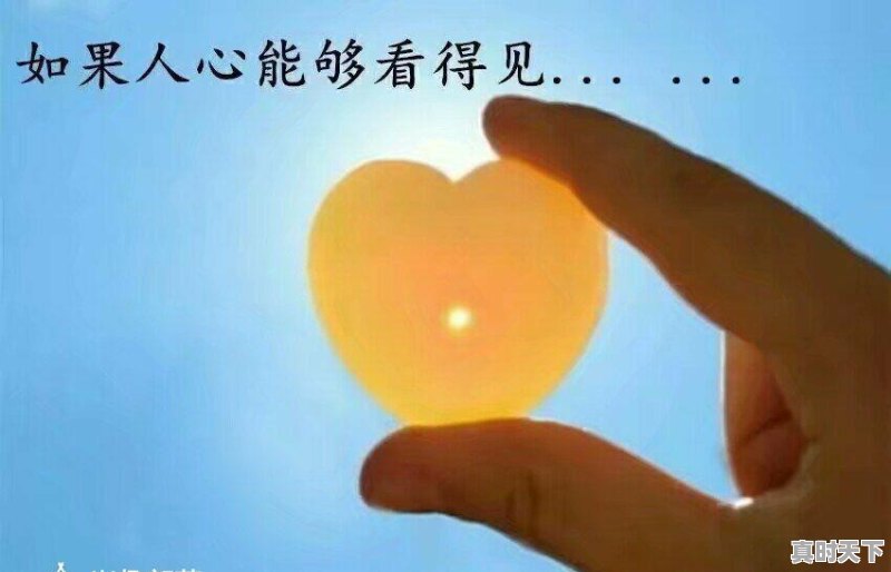 2021年吉林通化玉米直补下来了吗 - 真时天下