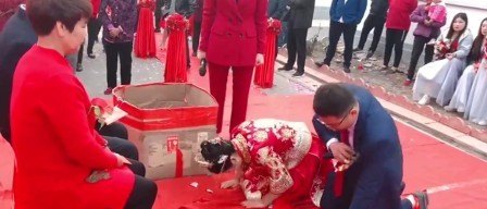 今天哈尔滨哈达白菜价格 - 真时天下