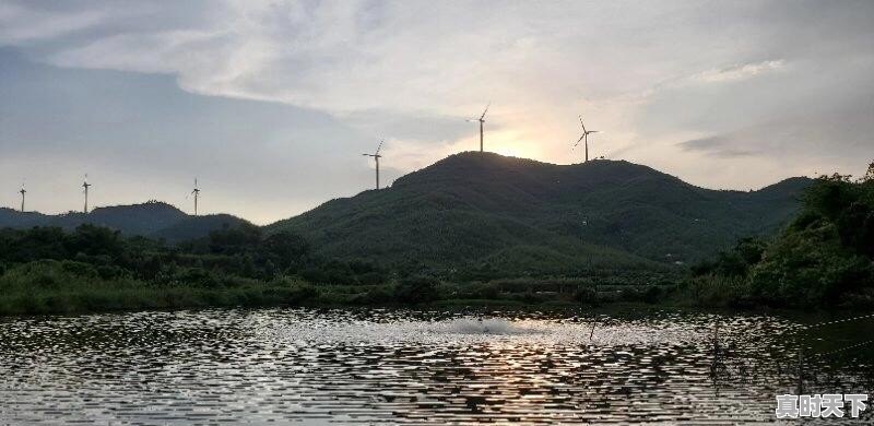 刚刚入手养鸭行业，对于一个新手，养鸭需要注意什么问题呢 - 真时天下