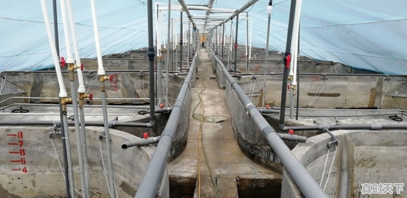 崂山交通广播电台频率表 - 真时天下