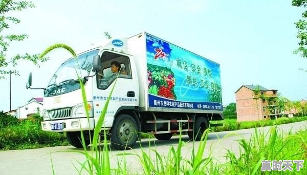 呼和浩特今日红薯价格行情走势 - 真时天下