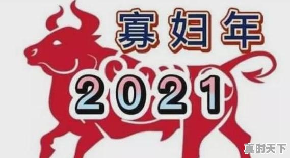 立春可以杀猪吗 - 真时天下