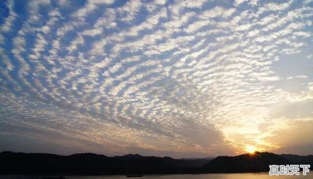 夜听电台和情感语录什么区别 - 真时天下