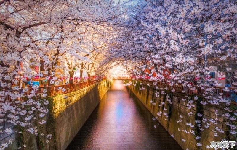 常德历史上最热的天气 - 真时天下