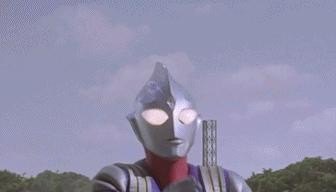 今日黑龙江西瓜价格 - 真时天下