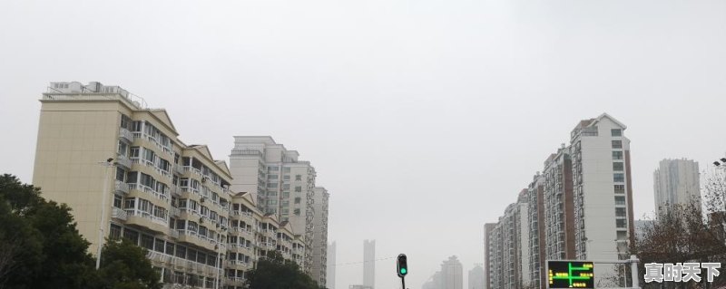 为什么深圳房子这么贵,还有很多人抢着购房 - 真时天下