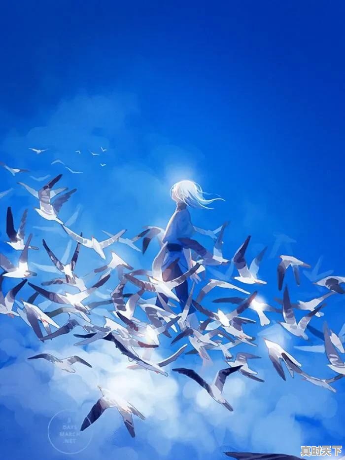 山东日照猪肉排骨价格今日最新 - 真时天下