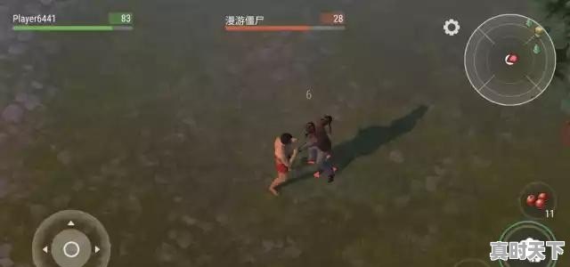 scum可以单人玩吗 - 真时天下