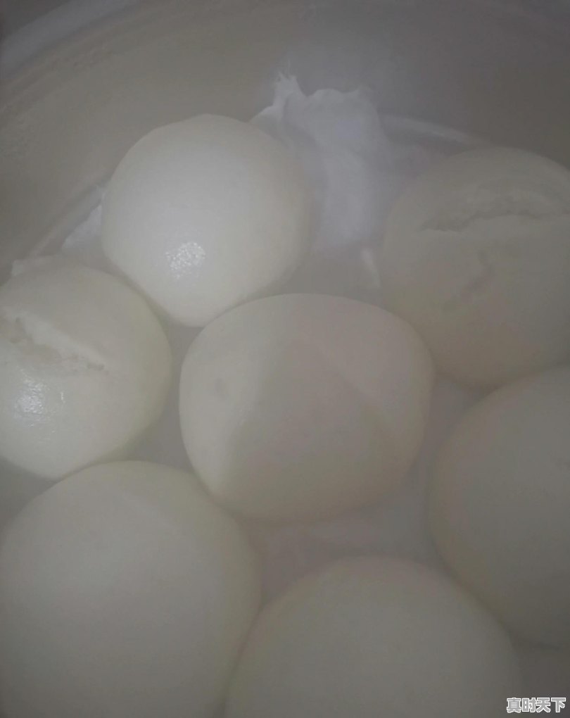 平阳钓鱼天气 - 真时天下