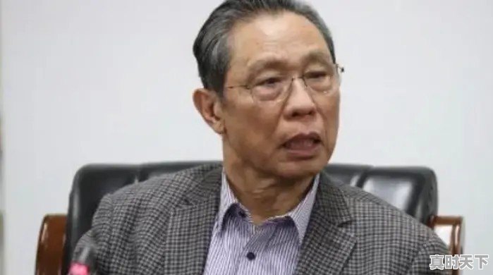 2023年凤梨是不是绿通 - 真时天下