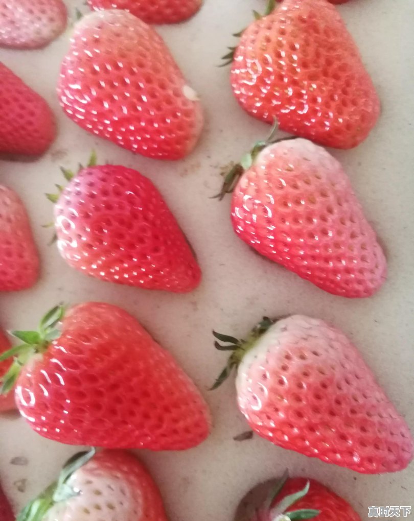 6月份已经开放跨省旅游的有那些地方 - 真时天下