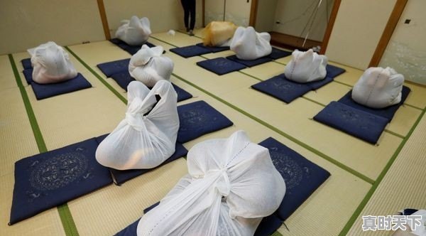 挠痒综艺节目 - 真时天下