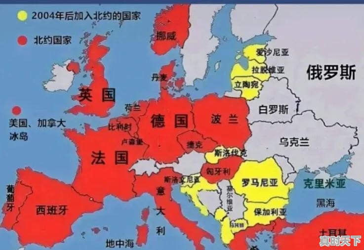 毛笔书法可以自学入门吗 - 真时天下