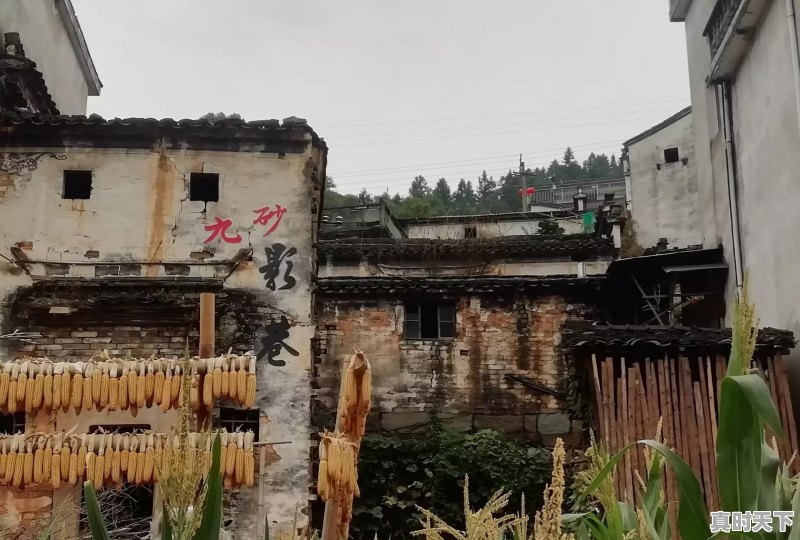 皇冠12代二手车改装床车 - 真时天下