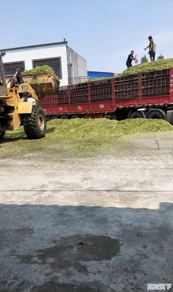 大疆无人机农业最先进的一款是 - 真时天下