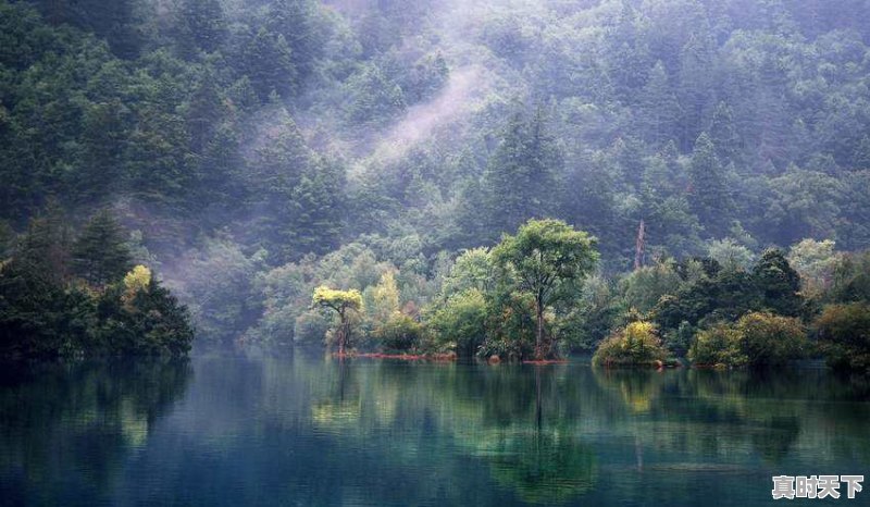 你去过哪个国家?印象怎么样 - 真时天下