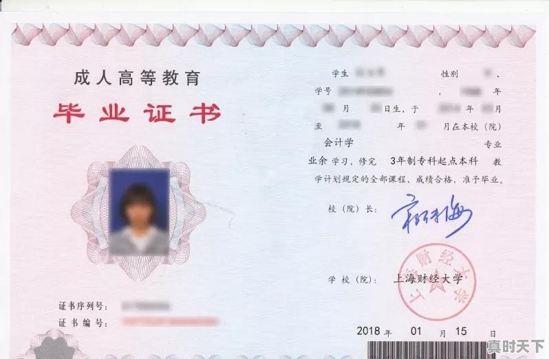 成人高考金融学考试科目 - 真时天下