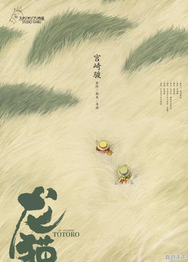 苹果游戏单机风之谷 - 真时天下