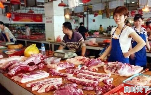 山东日照毛猪价格今日猪价 - 真时天下