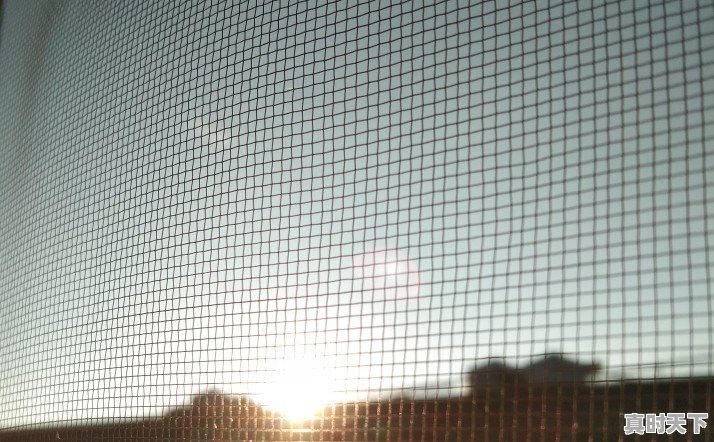 这么多节目扎堆,文化类综艺的春天是不是已经到了 - 真时天下