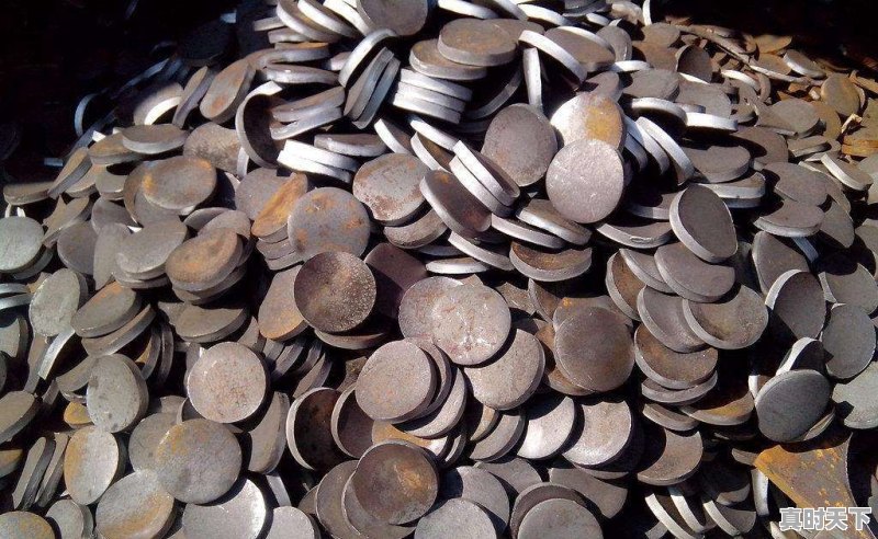 辽阳市生猪价格今日猪价 - 真时天下