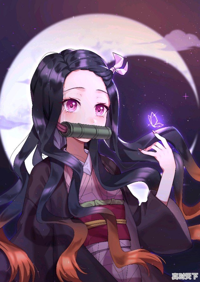 打斗动漫推荐国漫有哪些好看的 - 真时天下