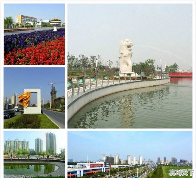 沭阳瑞声电子厂体检都查什么 - 真时天下