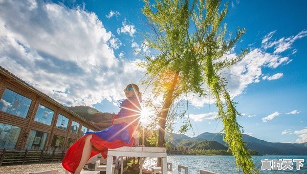 邵阳市菠菜价格今日行情走势 - 真时天下