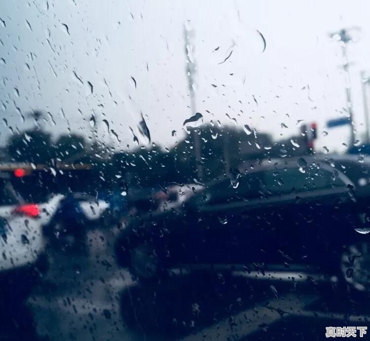 新手应该从哪些方面来学习理财 - 真时天下