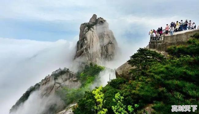 疫情医学科技奖项有哪些 - 真时天下