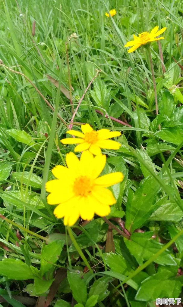 中石化安徽分公司官网 - 真时天下