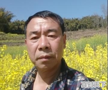 腾冲十一月天气查询气预报 - 真时天下