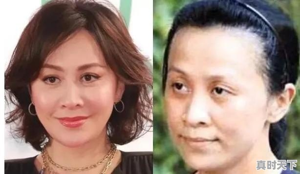 综艺怪事小说 - 真时天下