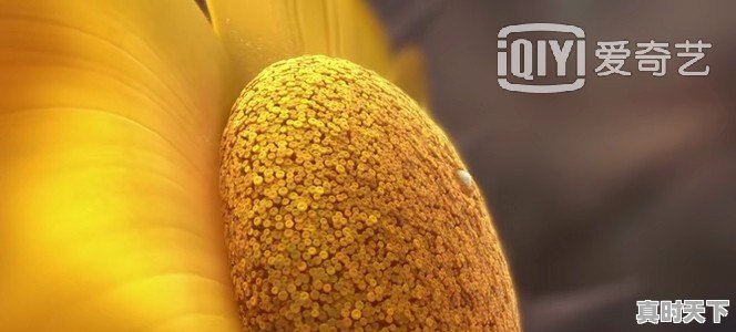 有没有比较搞笑的动漫推荐一下电影名字 - 真时天下