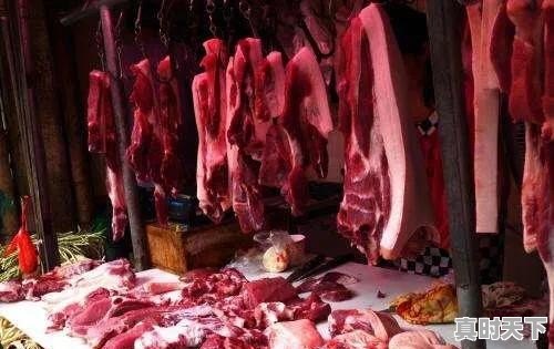 箱箱肉是什么 - 真时天下