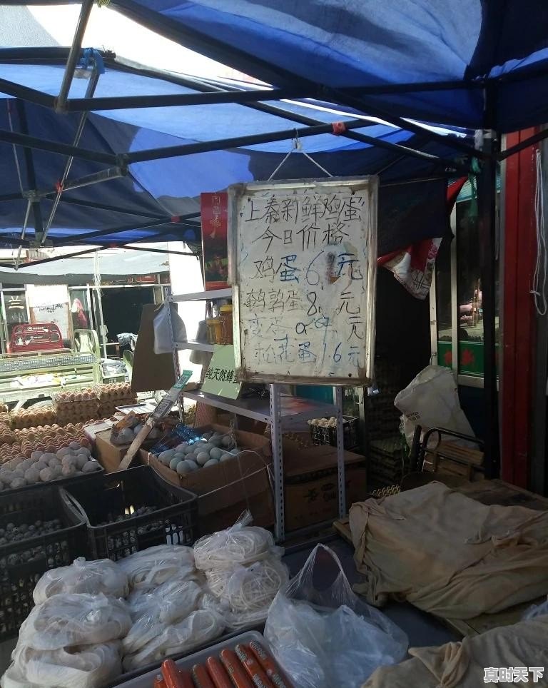 甘肃张掖今日猪肉价格行情最新 - 真时天下