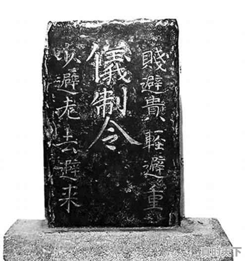 牙医恋爱电视剧 - 真时天下