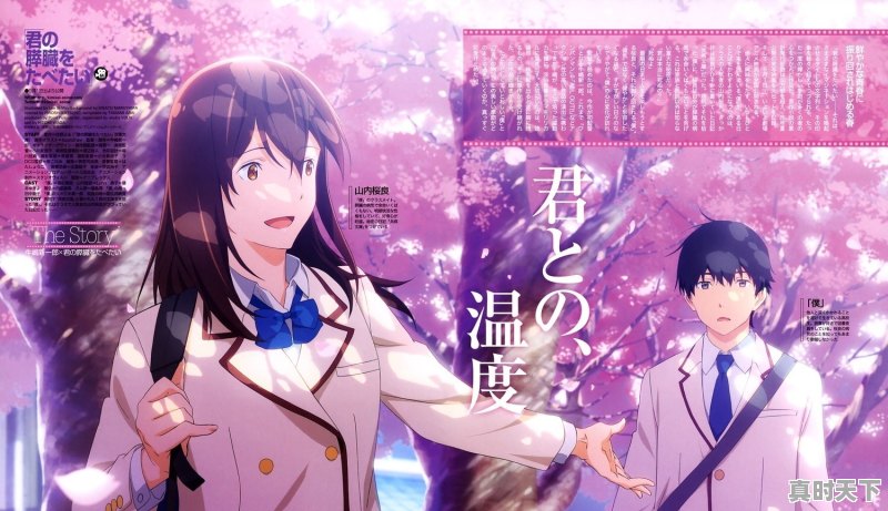 暖心动漫推荐欧美动漫电影 - 真时天下