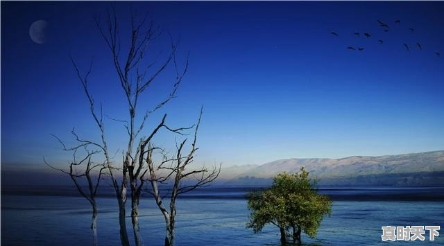 2023年12月份云南天气怎么样 - 真时天下